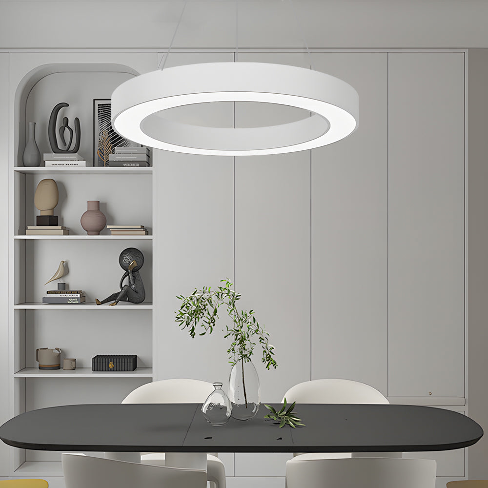 WINDSOR CIRCLE SUSPENDED LED OFFICE LIGHTING FOR FITNESS SPACES