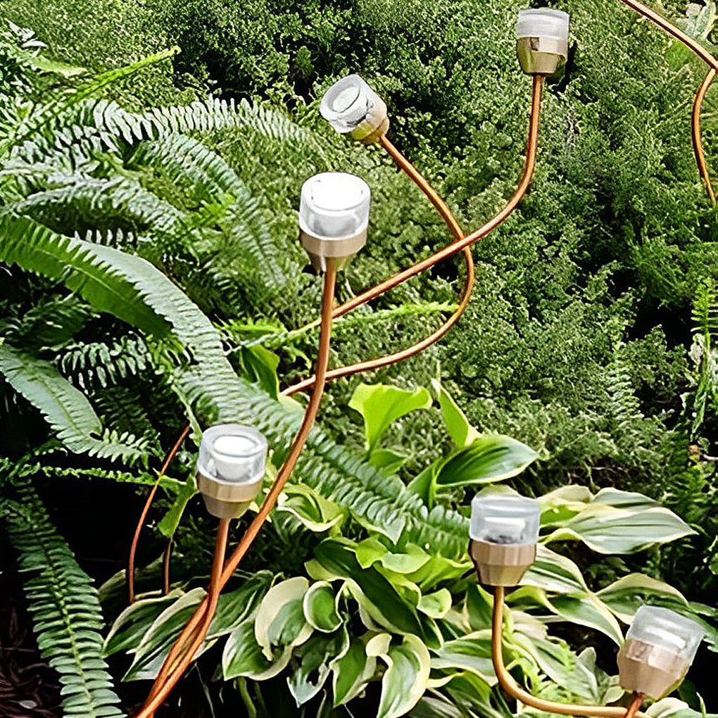 1. **CARMINE VINE LED GARDEN ORBS** – Enchanting apple and grape motifs, these luminous spheres bring a vibrant glow to your outdoor space.

2. **LAVENDER HILL FLORAL GLOW LANTERNS** – Captivating designs featuring fruit-inspired blooms, casting a warm, i