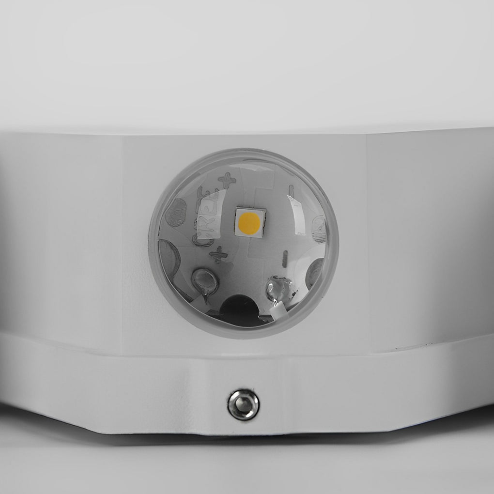 WINTHORPE MODERN ILLUMINATED OUTDOOR WALL LANTERN