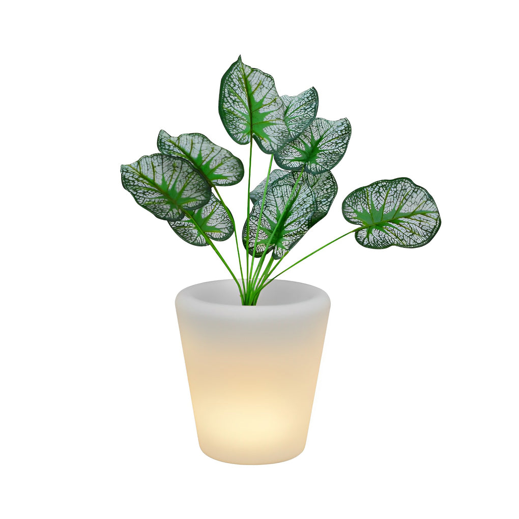 FENWICK GLOWING PETAL SOLAR LIGHTING WITH REMOTE CONTROL