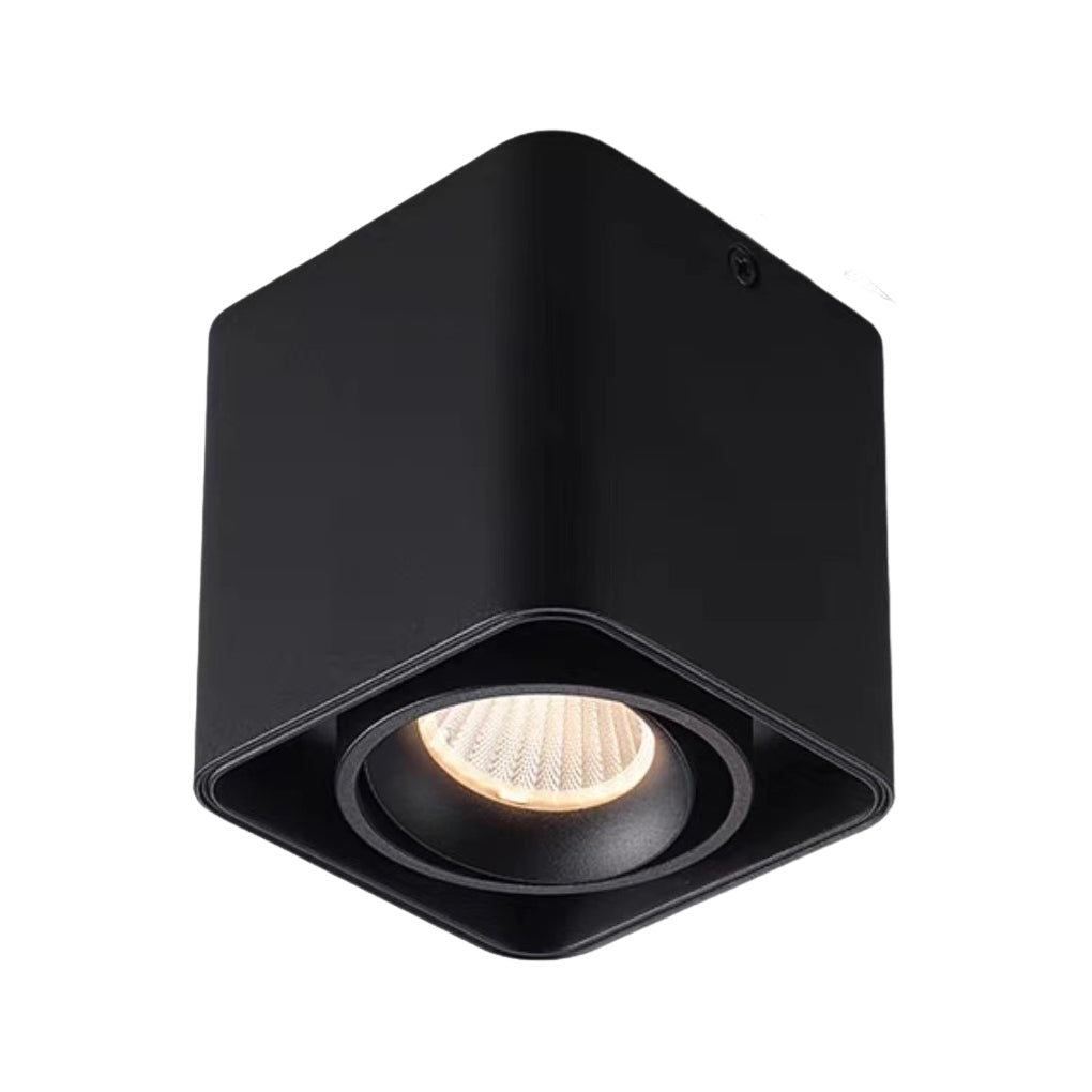 WINDSOR SQUARE DIMMABLE LED GRILLE LIGHT WITH ADJUSTABLE HEAD