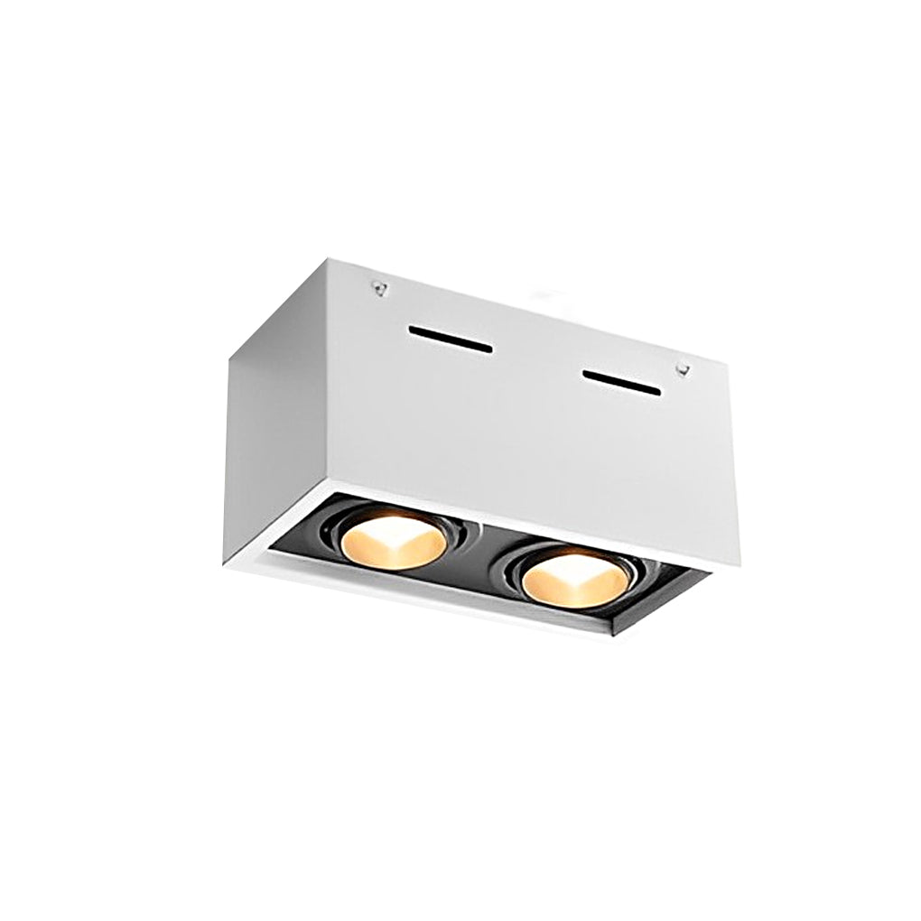 WINTHORPE RECTANGULAR DUAL LED MOUNTED SPOTLIGHTS
