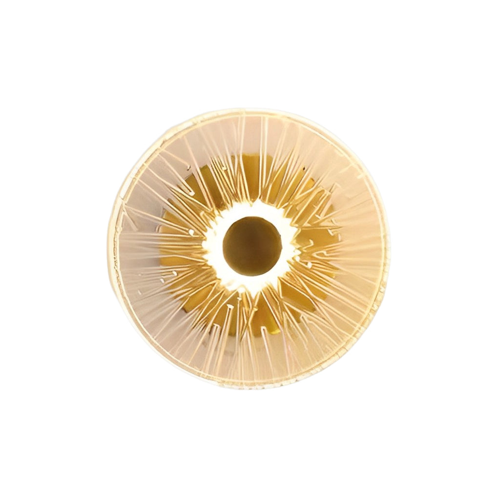 CAMBRIDGE ORB LUXE LED WALL LAMP