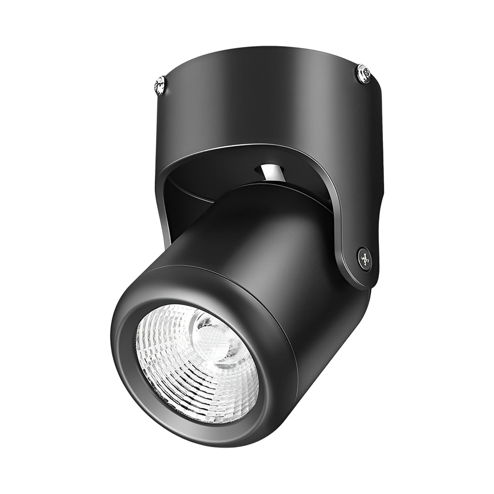 BRACKENDALE POLISHED ALUMINUM SPOTLIGHT WITH ADJUSTABLE FOCUS