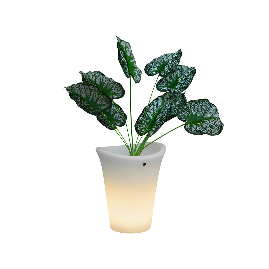 HEATHCLIFF SOLAR-ENHANCED GARDEN BLOOM LIGHTER