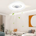 WINDSOR BREEZE 20-INCH BLADLESS CEILING FAN WITH SMART REMOTE AND DIMMABLE LED LIGHTING