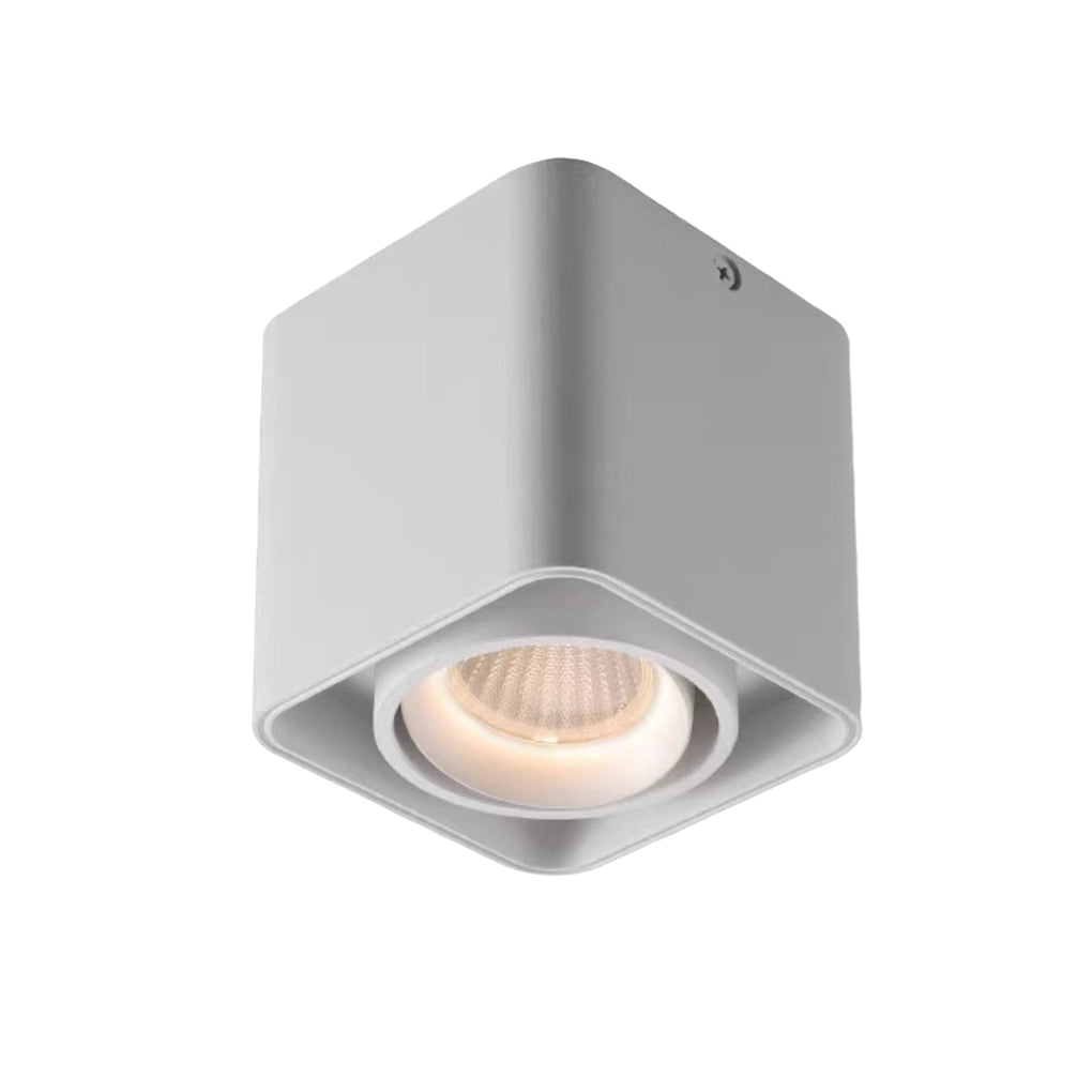 WINDSOR SQUARE DIMMABLE LED GRILLE LIGHT WITH ADJUSTABLE HEAD