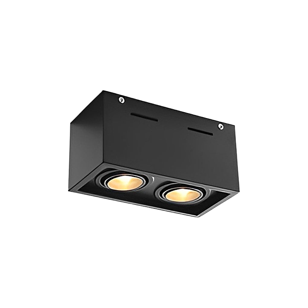 WINTHORPE RECTANGULAR DUAL LED MOUNTED SPOTLIGHTS