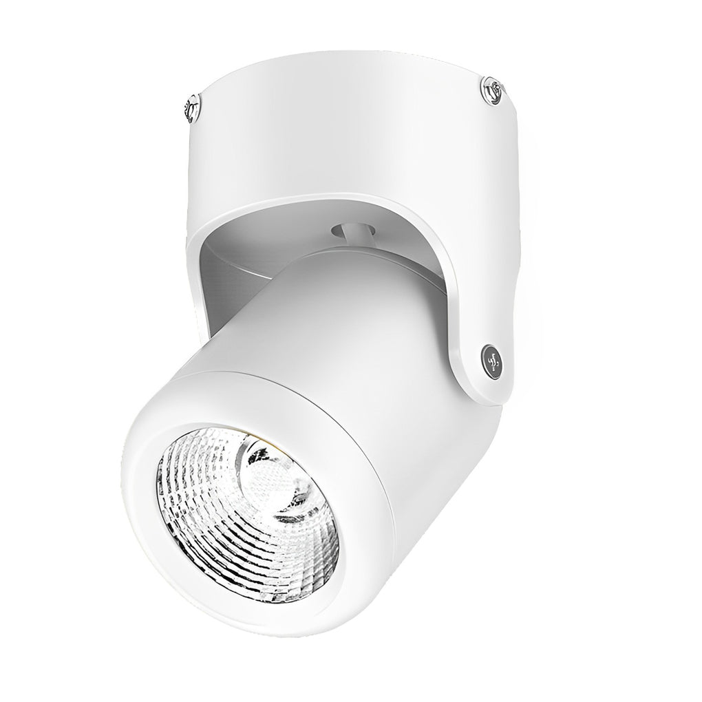 BRACKENDALE POLISHED ALUMINUM SPOTLIGHT WITH ADJUSTABLE FOCUS