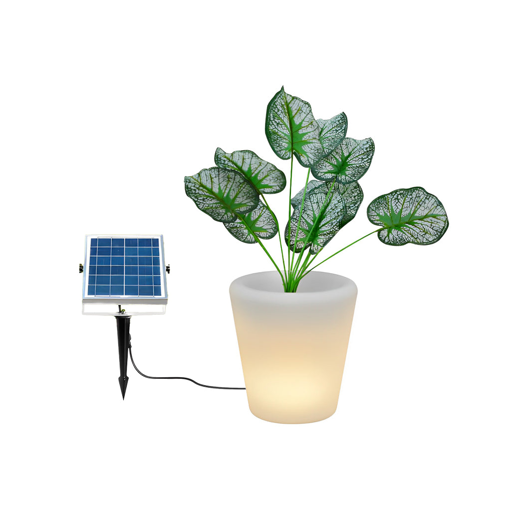 FENWICK GLOWING PETAL SOLAR LIGHTING WITH REMOTE CONTROL