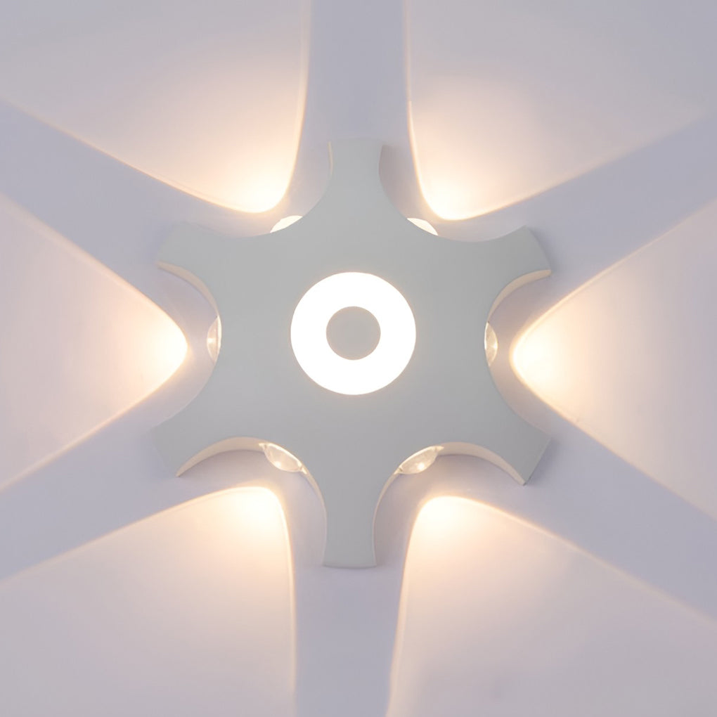CHARLOTTESVILLE PETAL-INSPIRED AQUATIC WALL ILLUMINATOR
