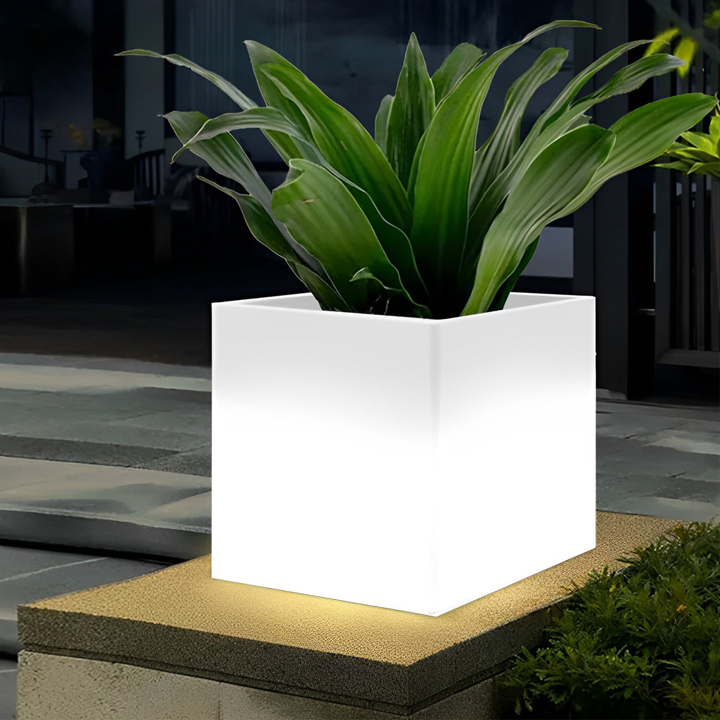 WHITBY SQUARE SOLAR-POWERED FLORAL ILLUMINATORS