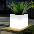 WHITBY SQUARE SOLAR-POWERED FLORAL ILLUMINATORS