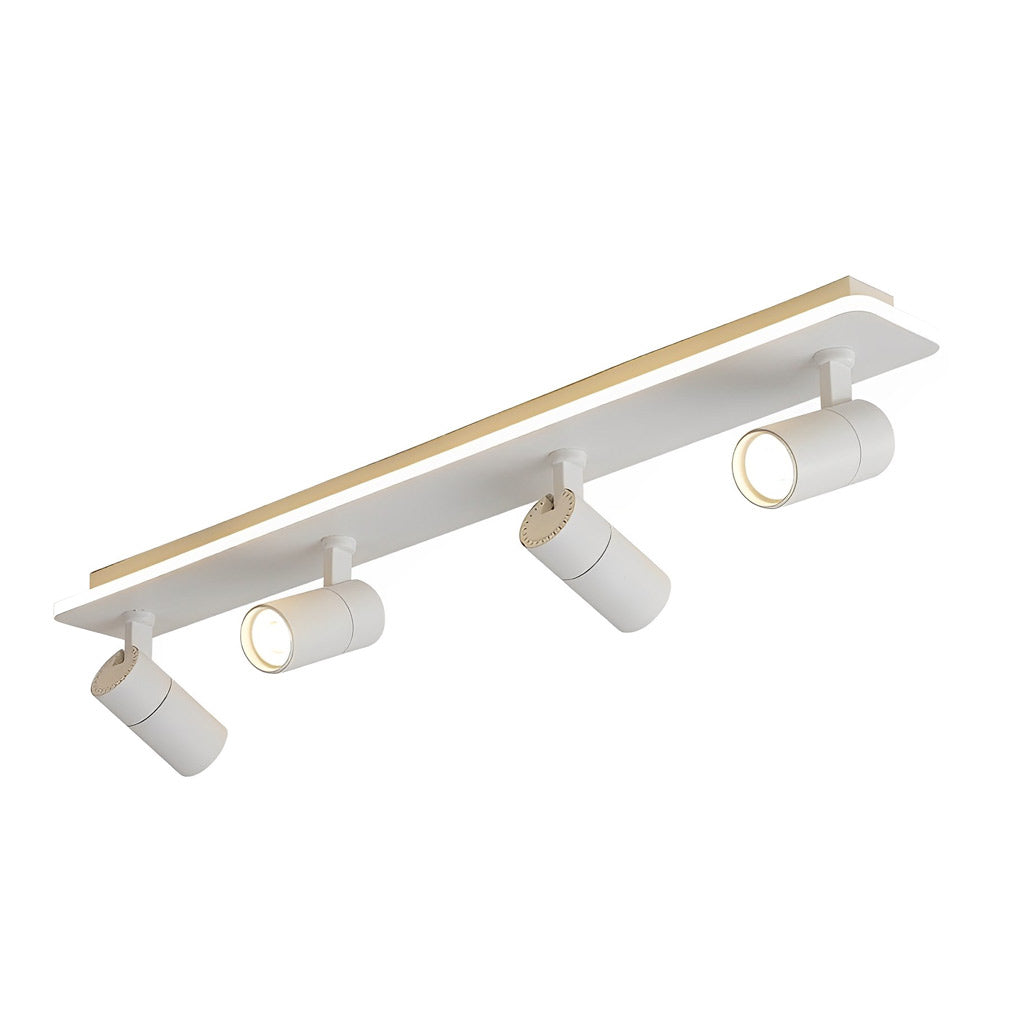 WINTHORPE RECTANGULAR LED FLUSH MOUNT SPOTLIGHT WITH ADJUSTABLE BEAMS