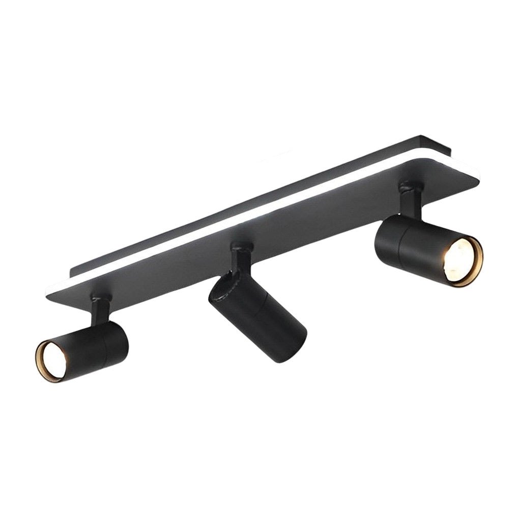 WINTHORPE RECTANGULAR LED FLUSH MOUNT SPOTLIGHT WITH ADJUSTABLE BEAMS
