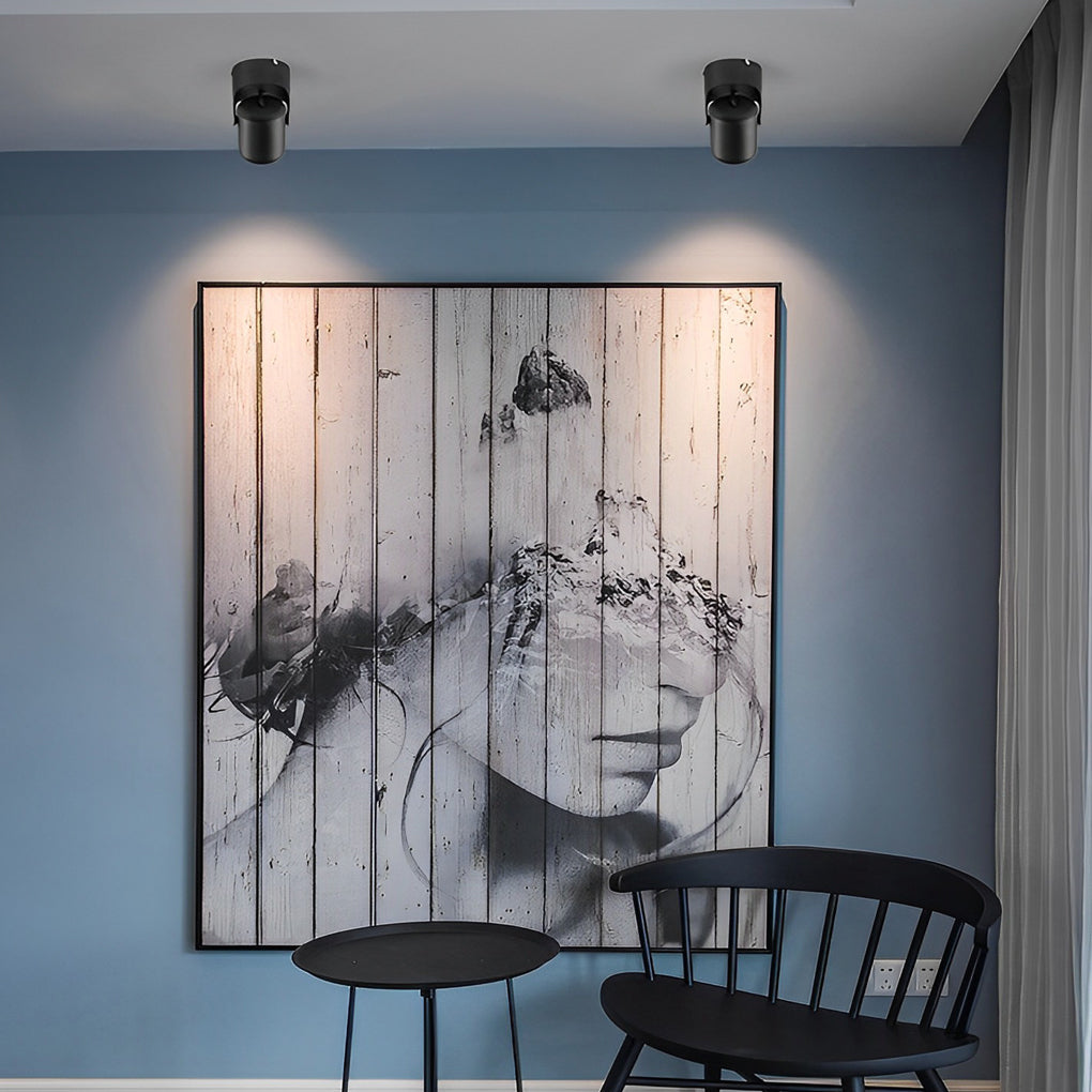 BRACKENDALE POLISHED ALUMINUM SPOTLIGHT WITH ADJUSTABLE FOCUS