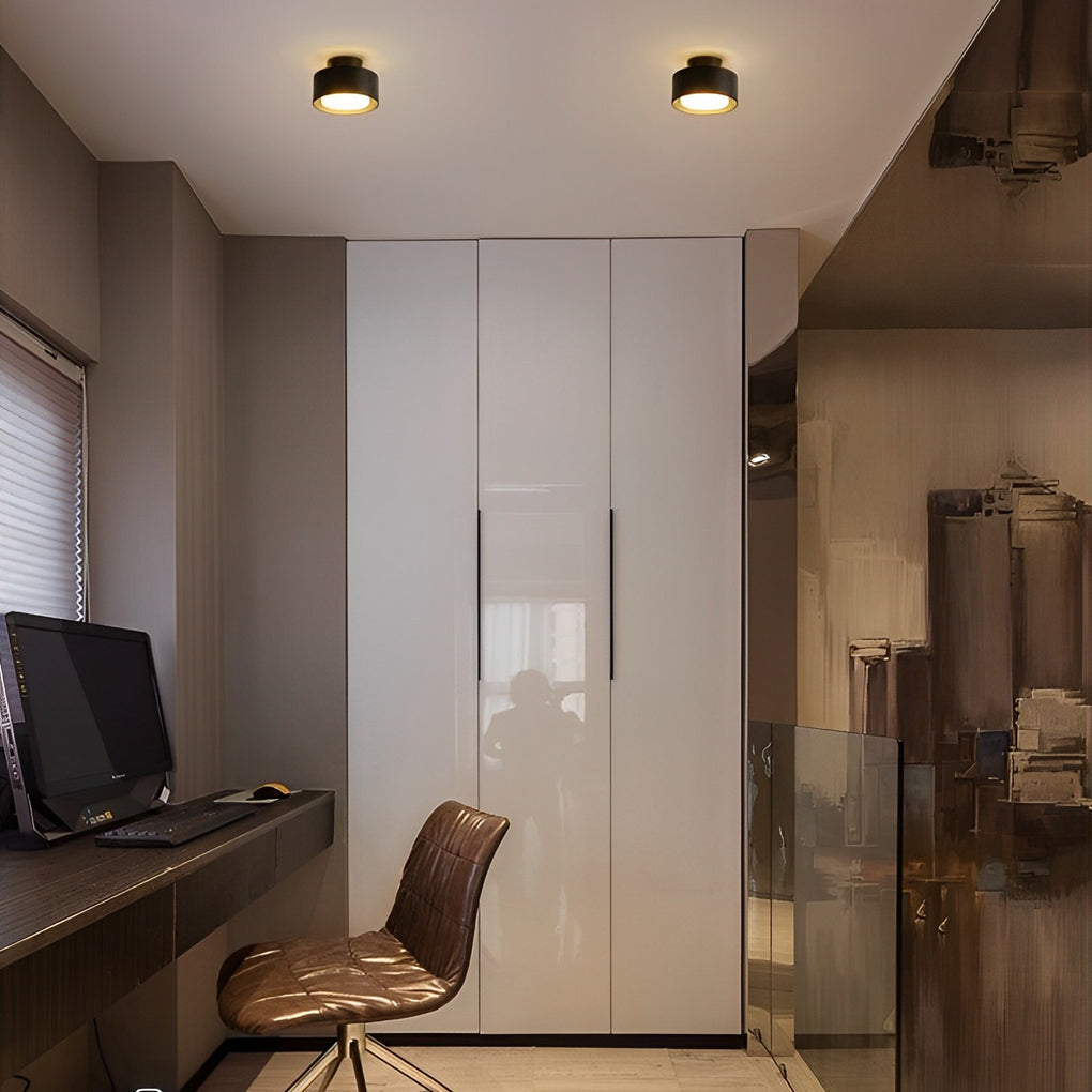 WINTHROP CIRCULAR ALUMINUM LED CEILING MOUNT LIGHT