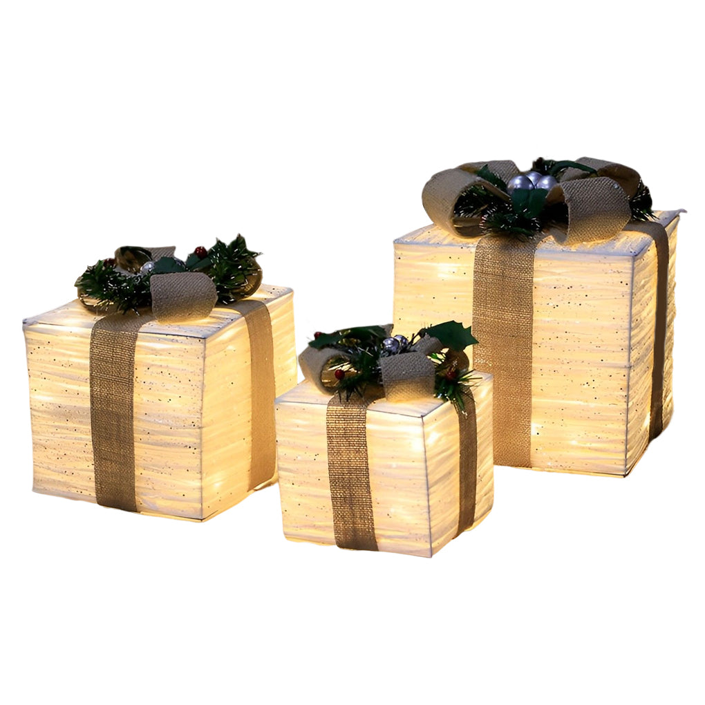 "WINTERBERRY TRIO: Enchanted Festive Gift Box Scene Ensemble"  

1. **WINTERBERRY GIFT BOX** - A charmingly crafted box adorned with intricate winter motifs, perfect for housing holiday treasures.  
2. **HOLLYFROST SCENE SETTING** - A delightful miniature