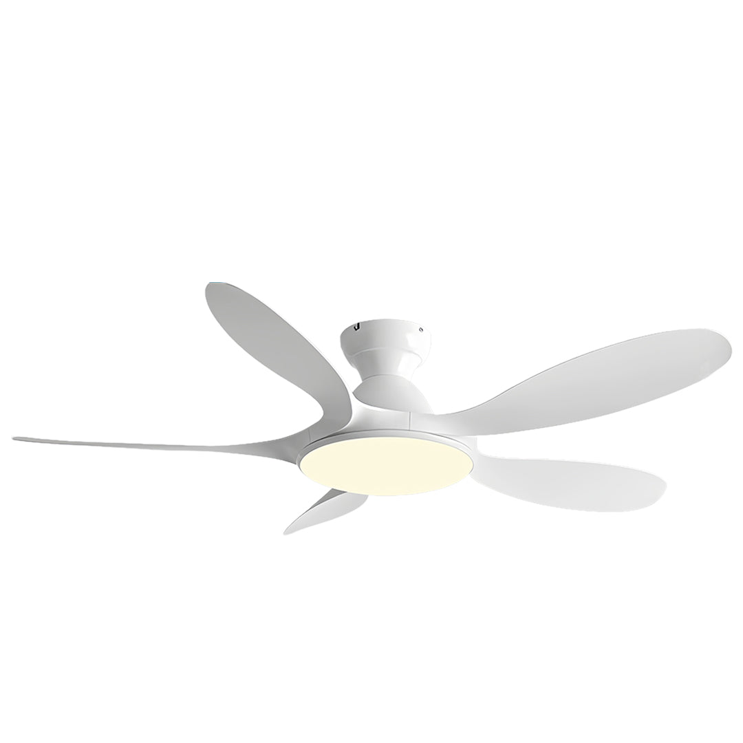 WINTHORPE FIVE-BLADE CEILING LIGHT FAN WITH ABS BLADES AND METAL FRAME