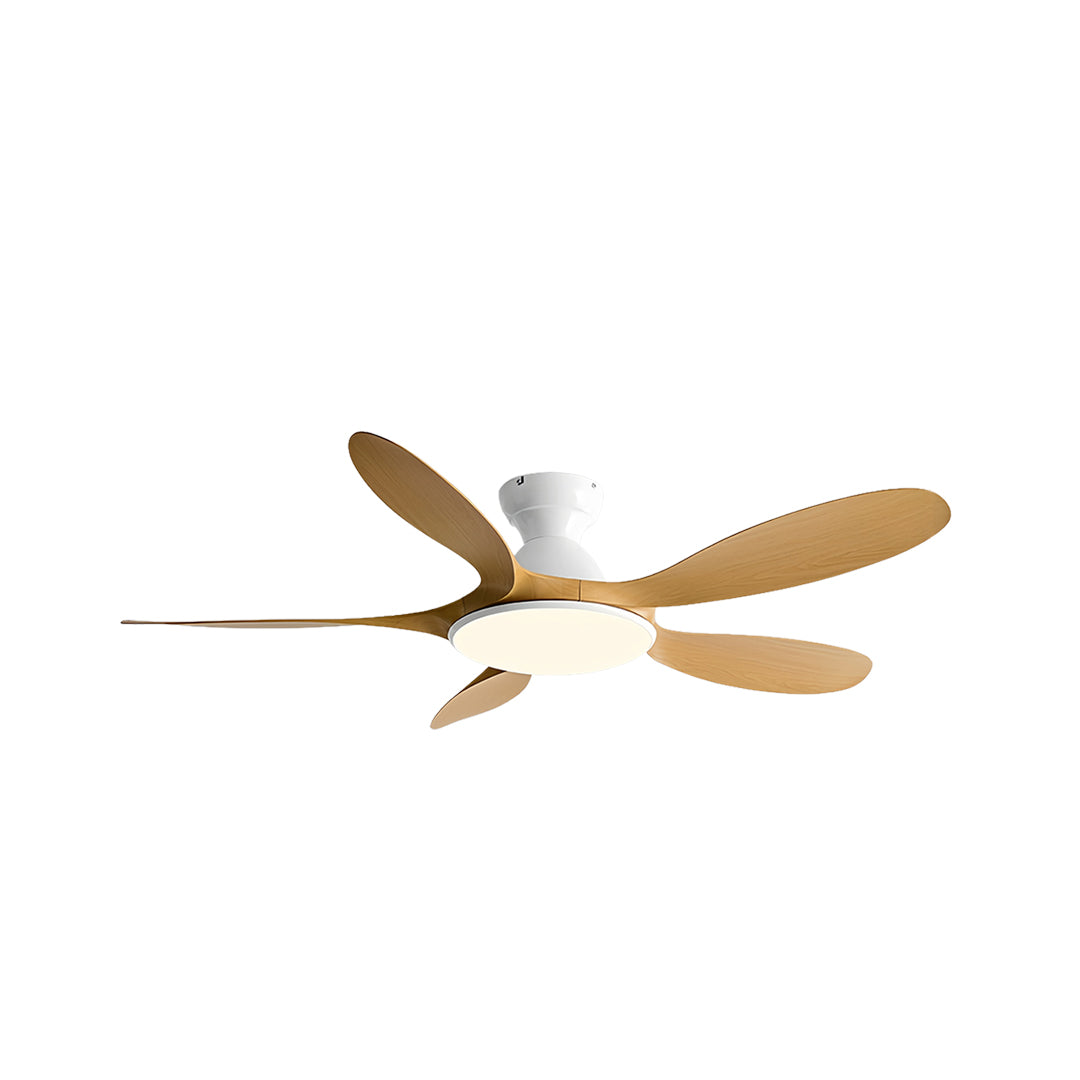 WINTHORPE FIVE-BLADE CEILING LIGHT FAN WITH ABS BLADES AND METAL FRAME