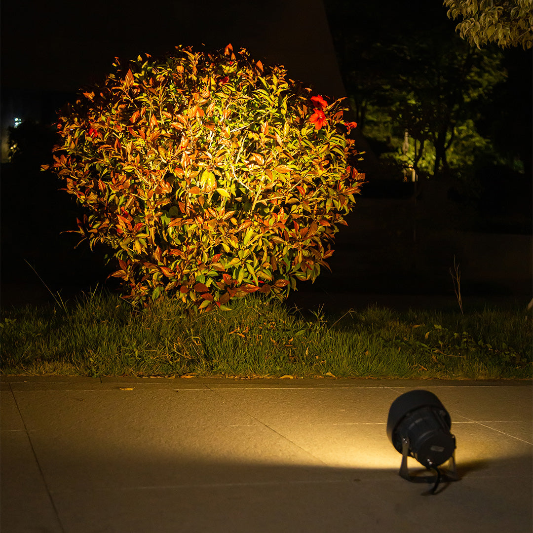CHARLESTON AQUA SHIELD OUTDOOR SPOTLIGHTS