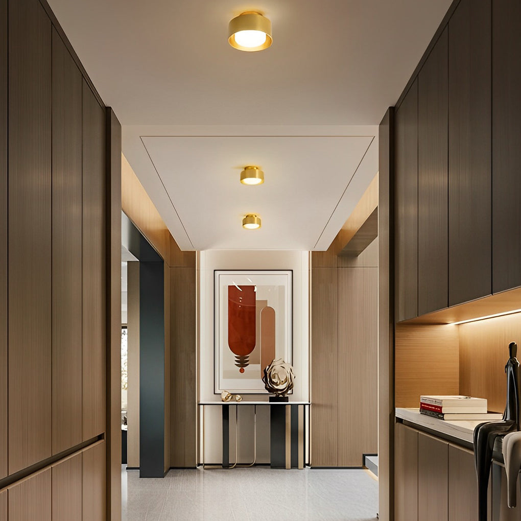WINTHROP CIRCULAR ALUMINUM LED CEILING MOUNT LIGHT