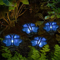 1. **PENNINGTON RAINBOW RESIN AVIAN LANTERNS** - A set of four charming, waterproof garden lights featuring vibrant resin birds, adding a whimsical touch to your outdoor space.

2. **WILLOUGHBY GARDEN ESCARGOT ILLUMINATORS** - Delightful resin snails that