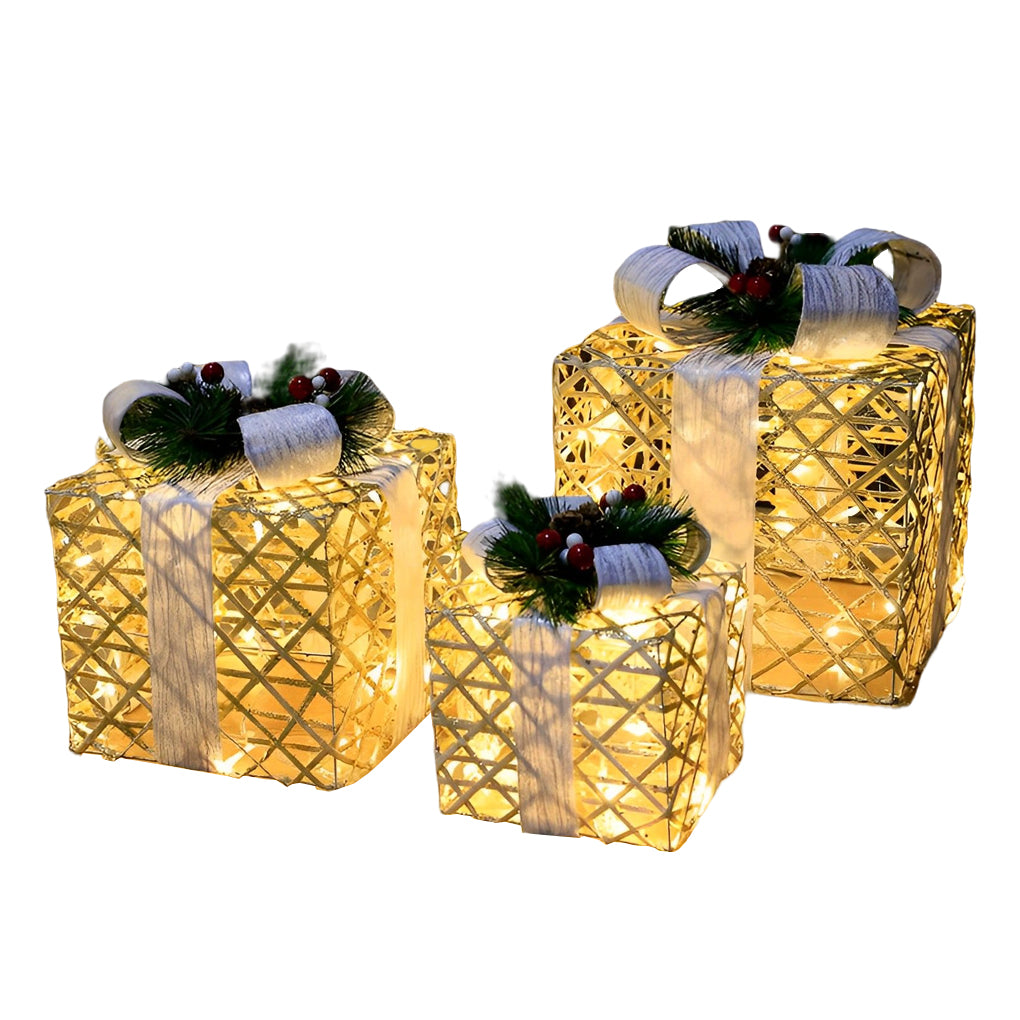 "WINTERBERRY TRIO: Enchanted Festive Gift Box Scene Ensemble"  

1. **WINTERBERRY GIFT BOX** - A charmingly crafted box adorned with intricate winter motifs, perfect for housing holiday treasures.  
2. **HOLLYFROST SCENE SETTING** - A delightful miniature