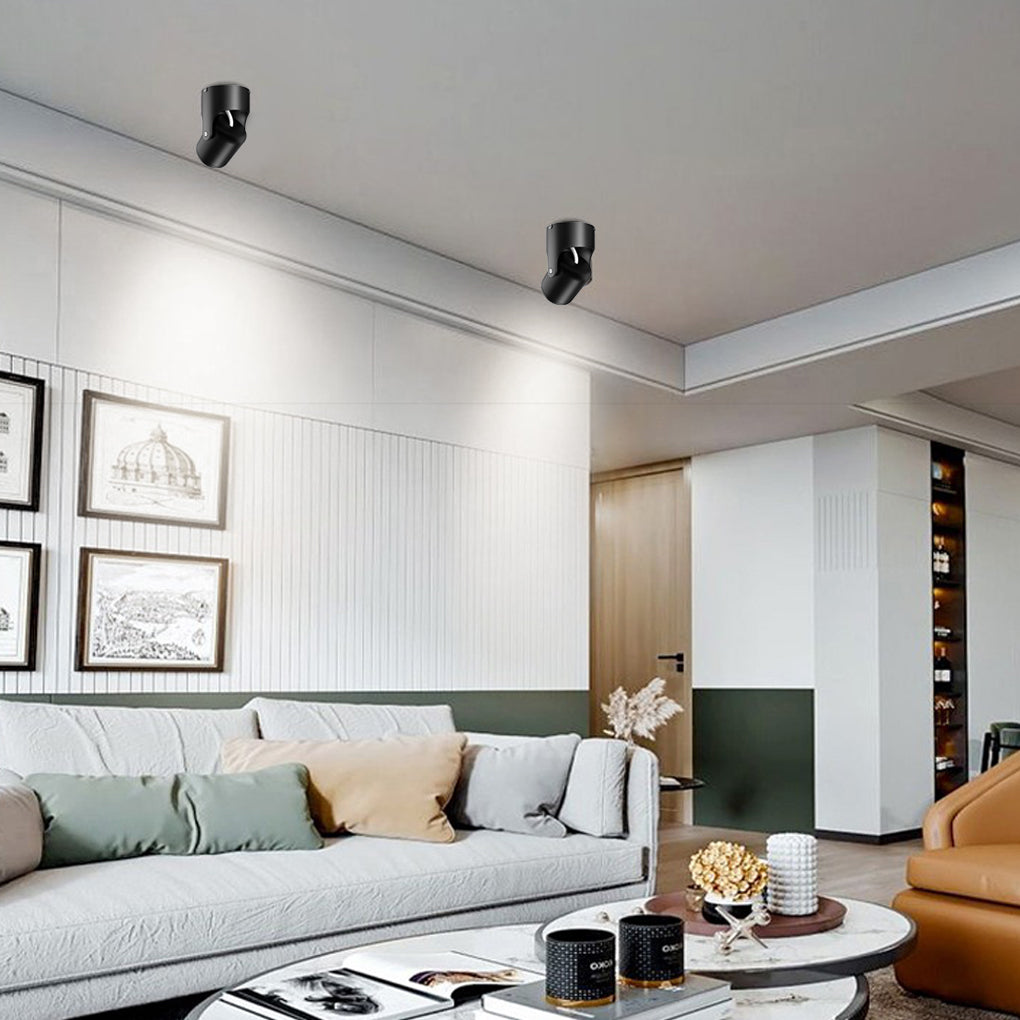 BRACKENDALE POLISHED ALUMINUM SPOTLIGHT WITH ADJUSTABLE FOCUS