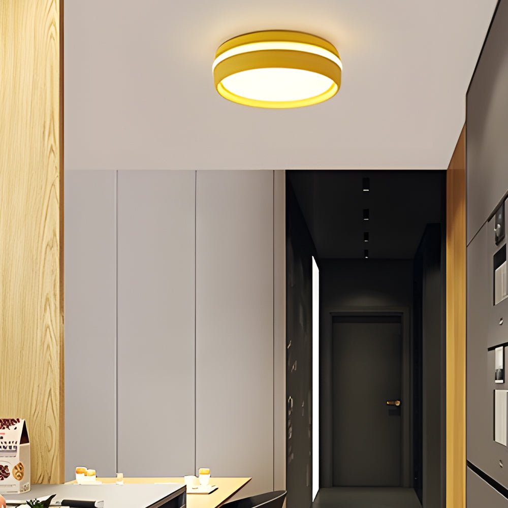 WINTERBOURNE 7.9-INCH ACRYLIC FLUSH MOUNT LED CEILING LAMP