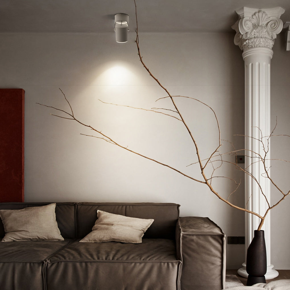 BRACKENDALE POLISHED ALUMINUM SPOTLIGHT WITH ADJUSTABLE FOCUS