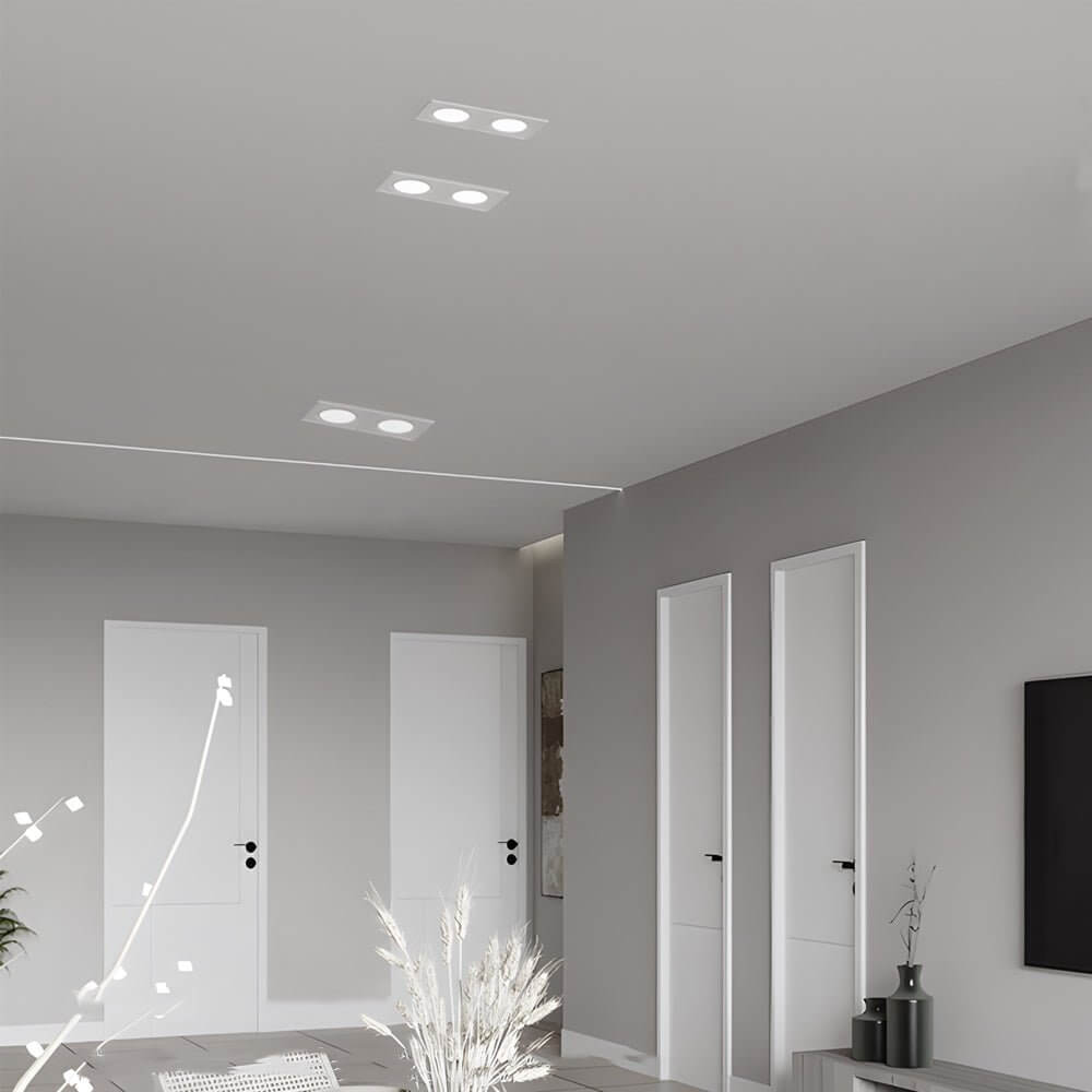 WINTHORPE DUAL-HEAD 10W LED RECESSED LIGHTING FIXTURE