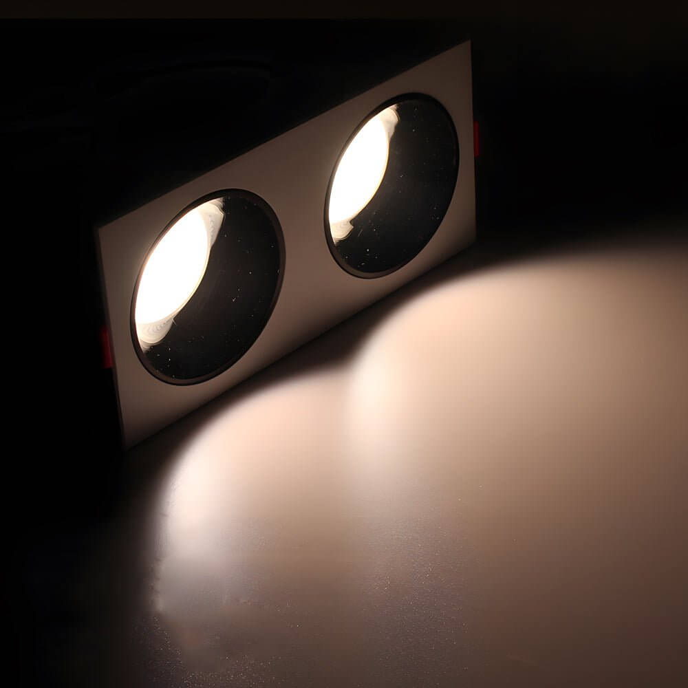 WINTHORPE DUAL-HEAD 10W LED RECESSED LIGHTING FIXTURE