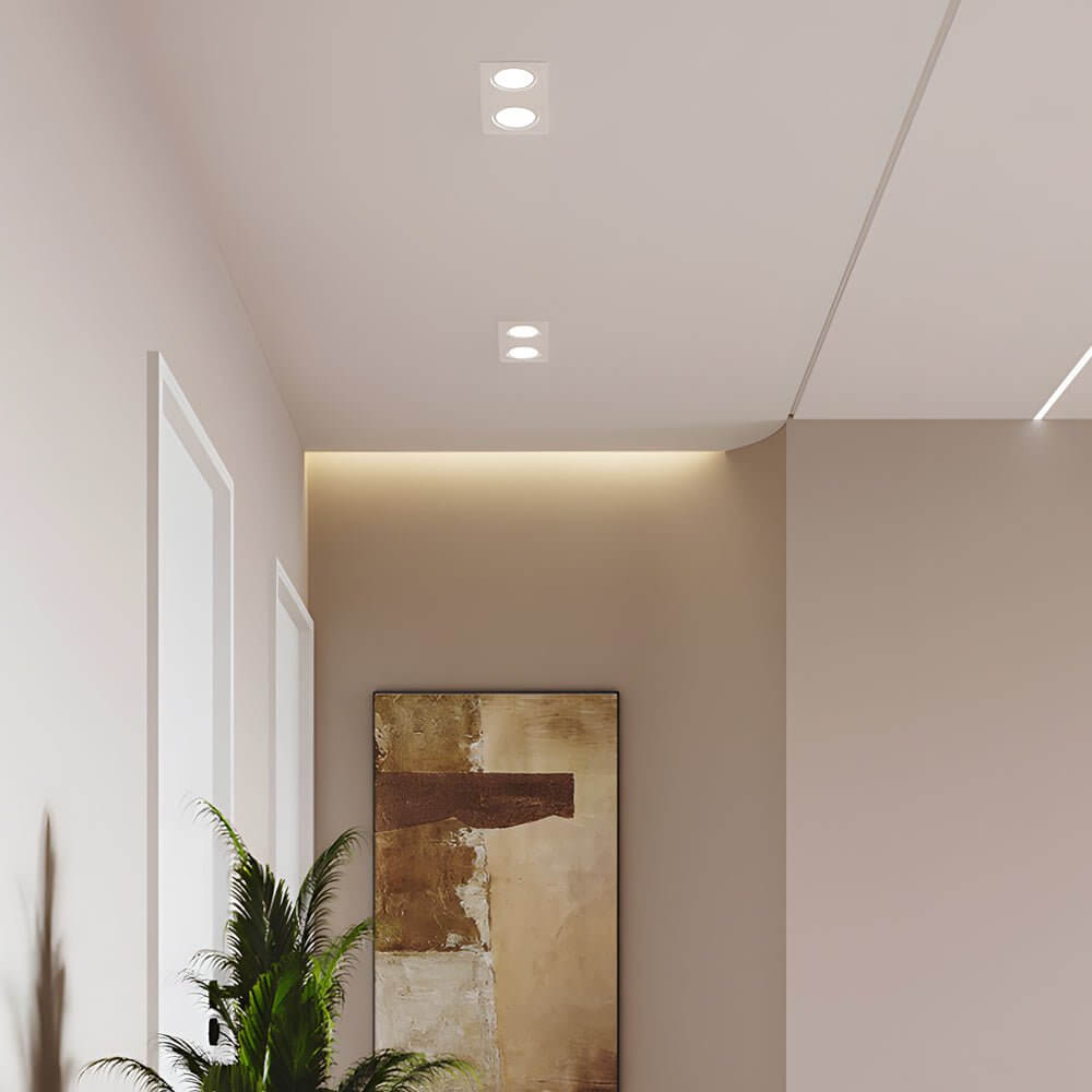 WINTHORPE DUAL-HEAD 10W LED RECESSED LIGHTING FIXTURE