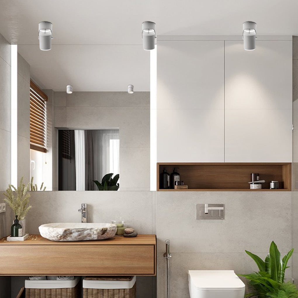 BRACKENDALE POLISHED ALUMINUM SPOTLIGHT WITH ADJUSTABLE FOCUS