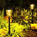 WILLOUGHBY SOLAR GLOW GARDEN LANTERNS WITH MOTION DETECTION"  
2. "CHESTERTON RADIANT SOLAR LANDSCAPE LIGHTS WITH SENSOR TECHNOLOGY
