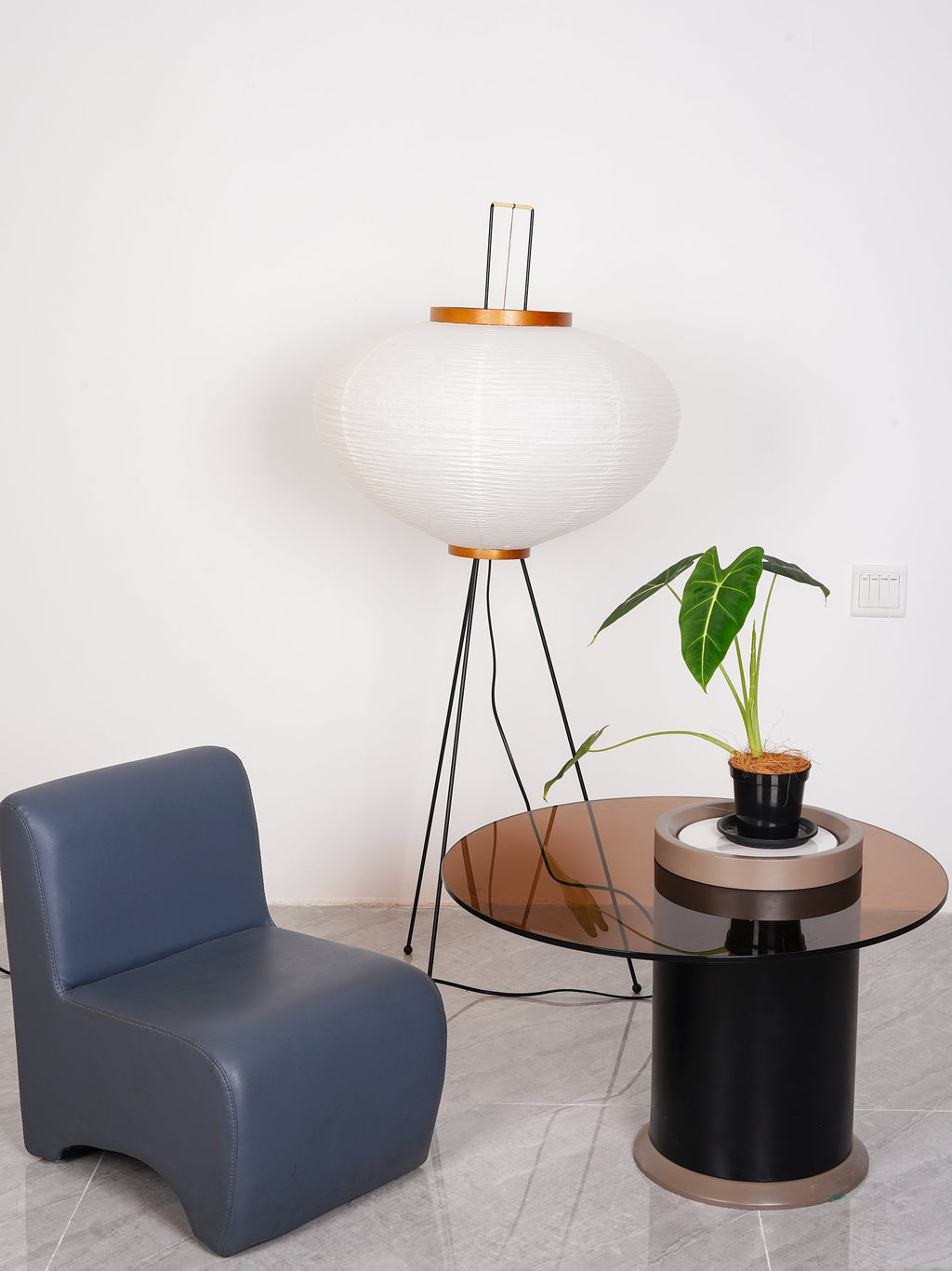 FENWICK RICE PAPER ILLUMINATOR