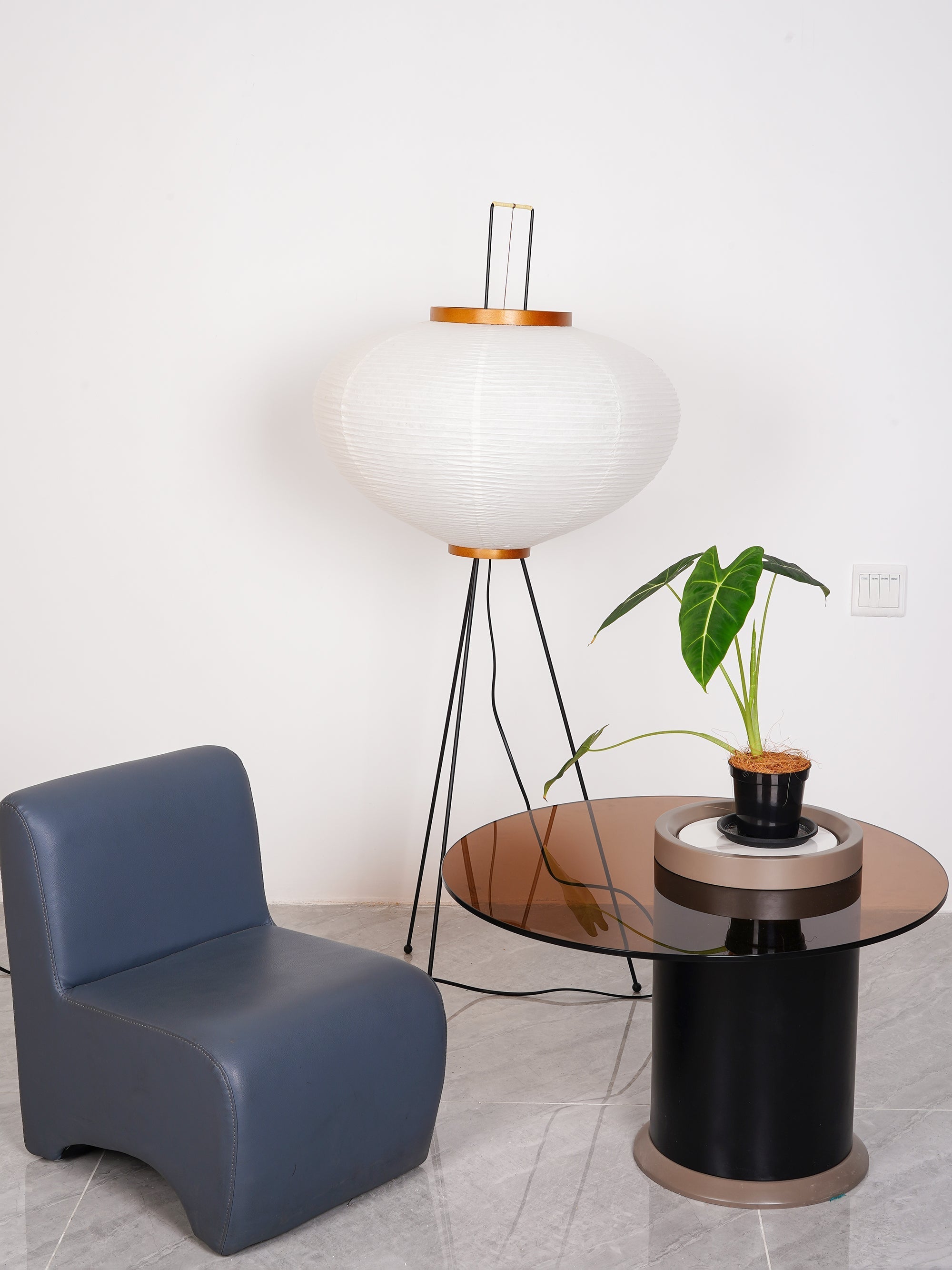 FENWICK RICE PAPER ILLUMINATOR