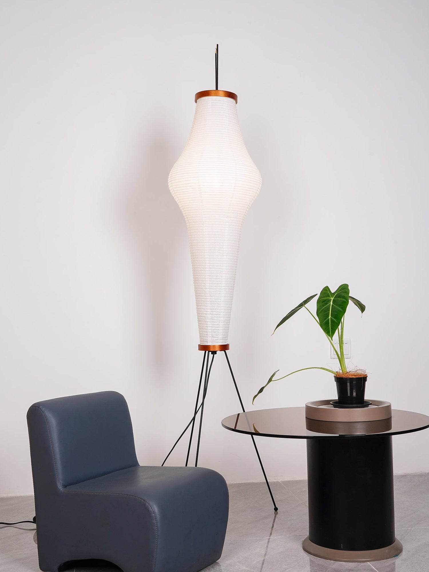 FENWICK RICE PAPER ILLUMINATOR