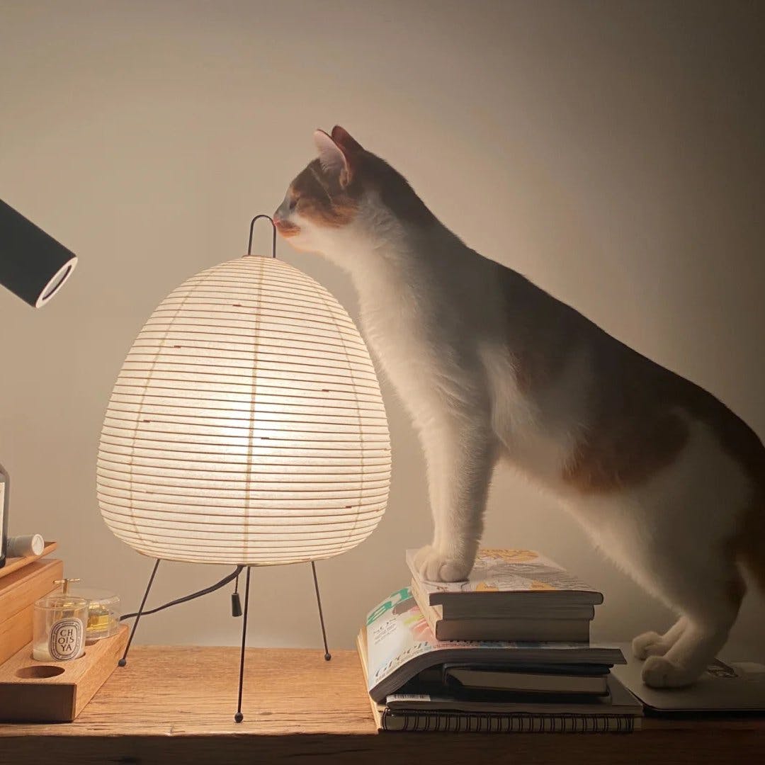 FENWICK PAPER LANTERN TABLE LIGHT
