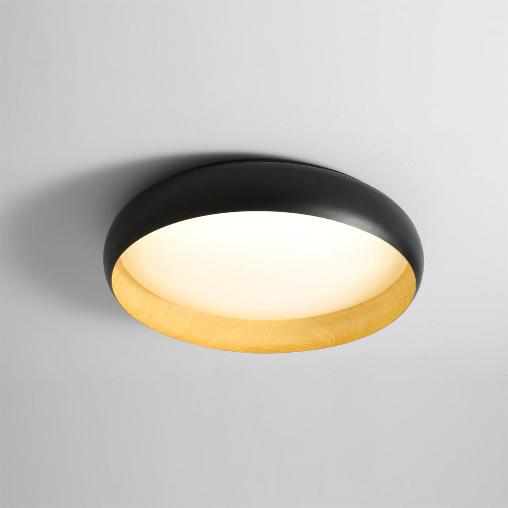 RAVENHALL ROUNDED GLASS CEILING LANTERN