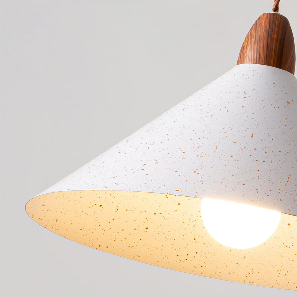 RAVENWOOD HANGING GLASS ILLUMINATOR