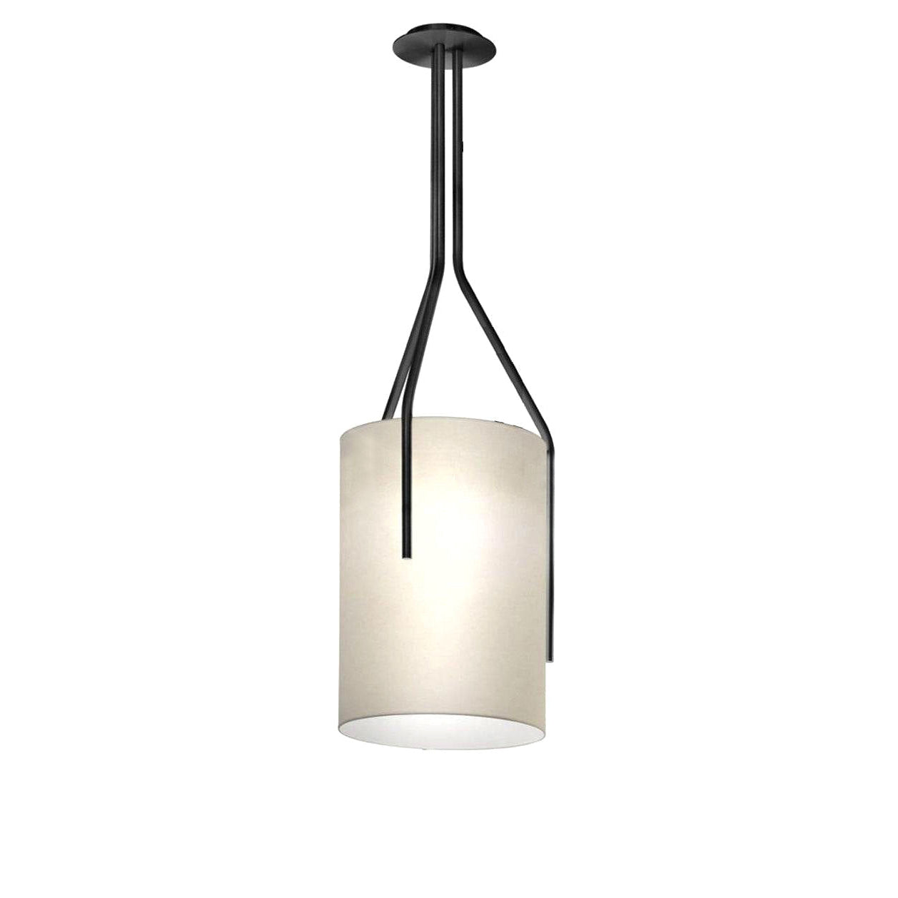 VERDANT BRANCHES CEILING LIGHT