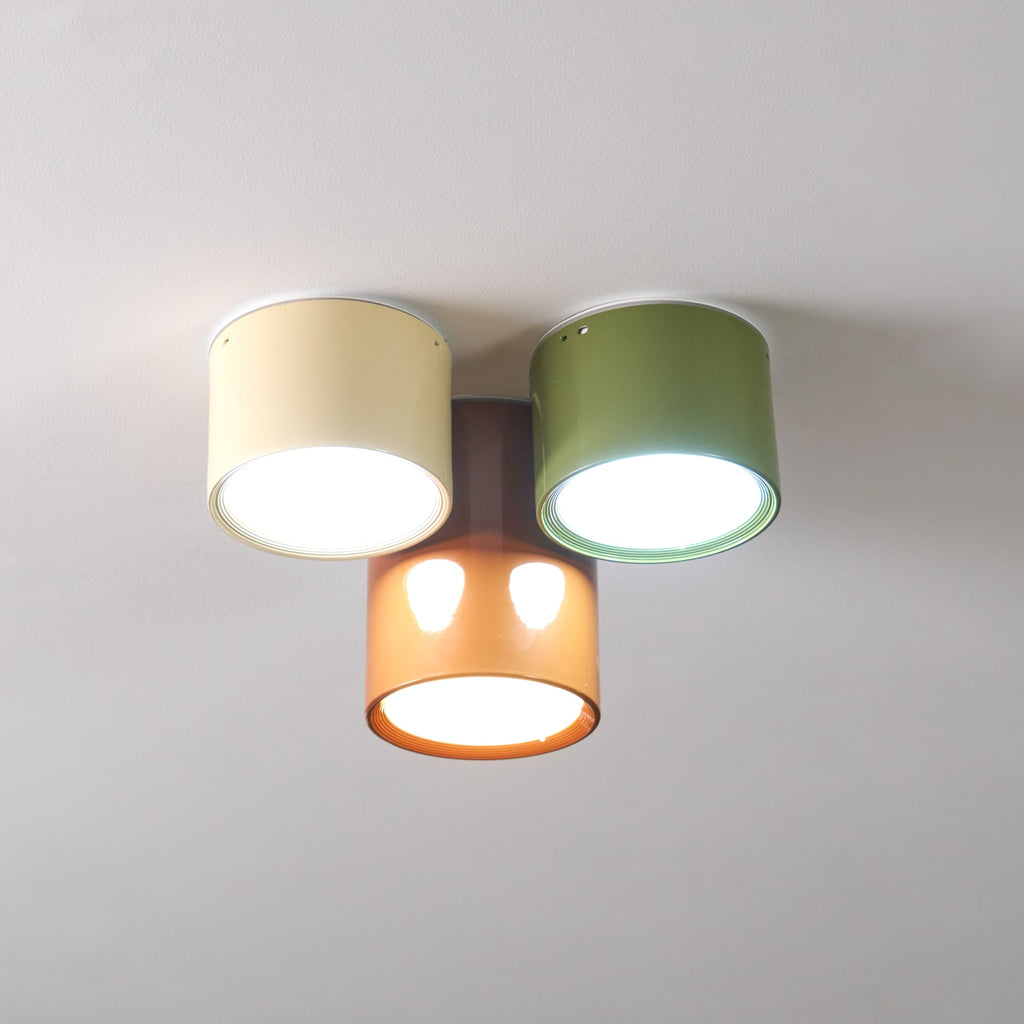 Winthrope Fusion Dome Light Fixture