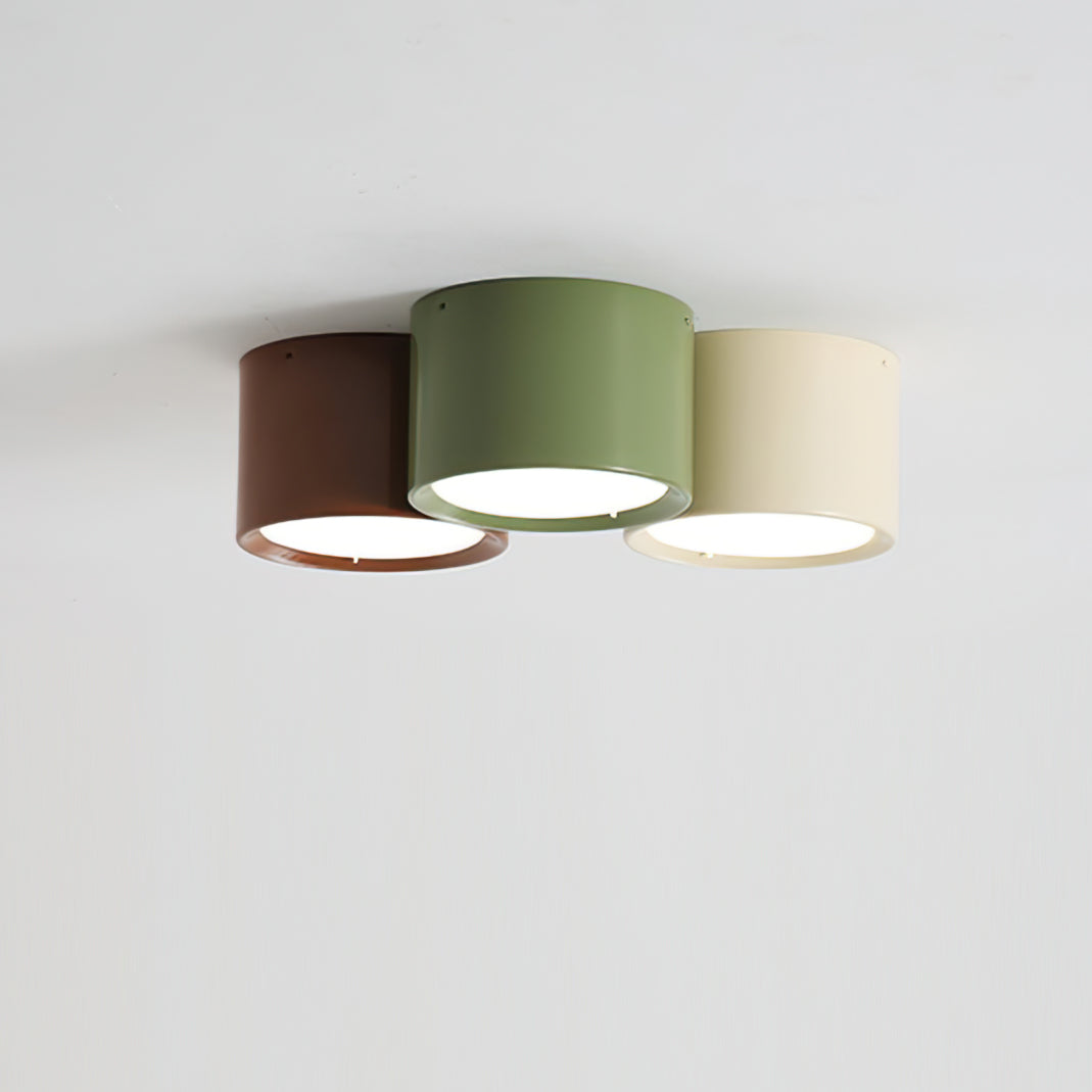 Winthrope Fusion Dome Light Fixture