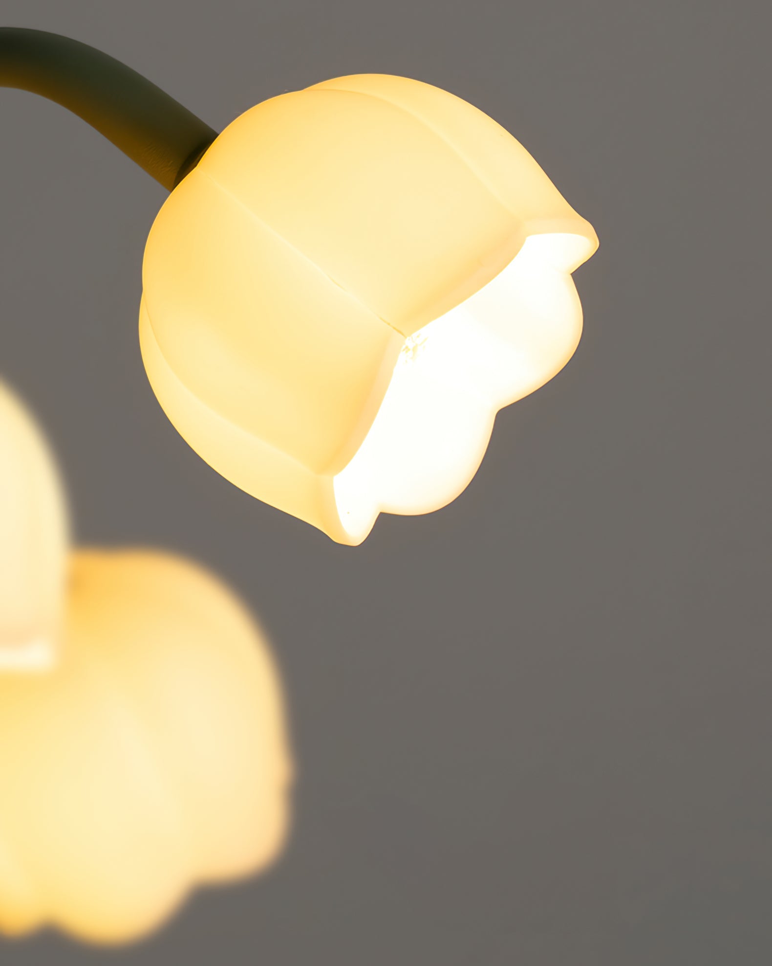 VIOLETTE PETAL RADIANCE LAMP