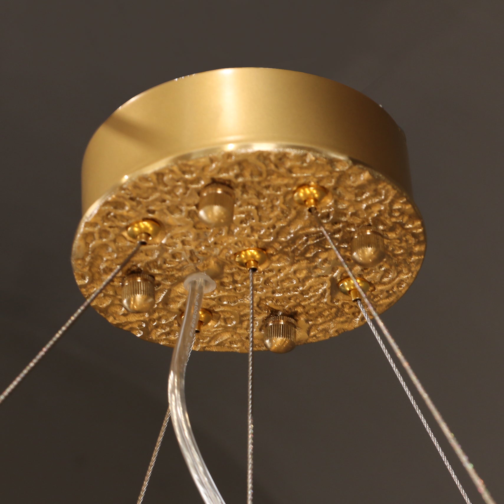 WINCHESTER BRASS FOLIAGE CEILING LIGHT