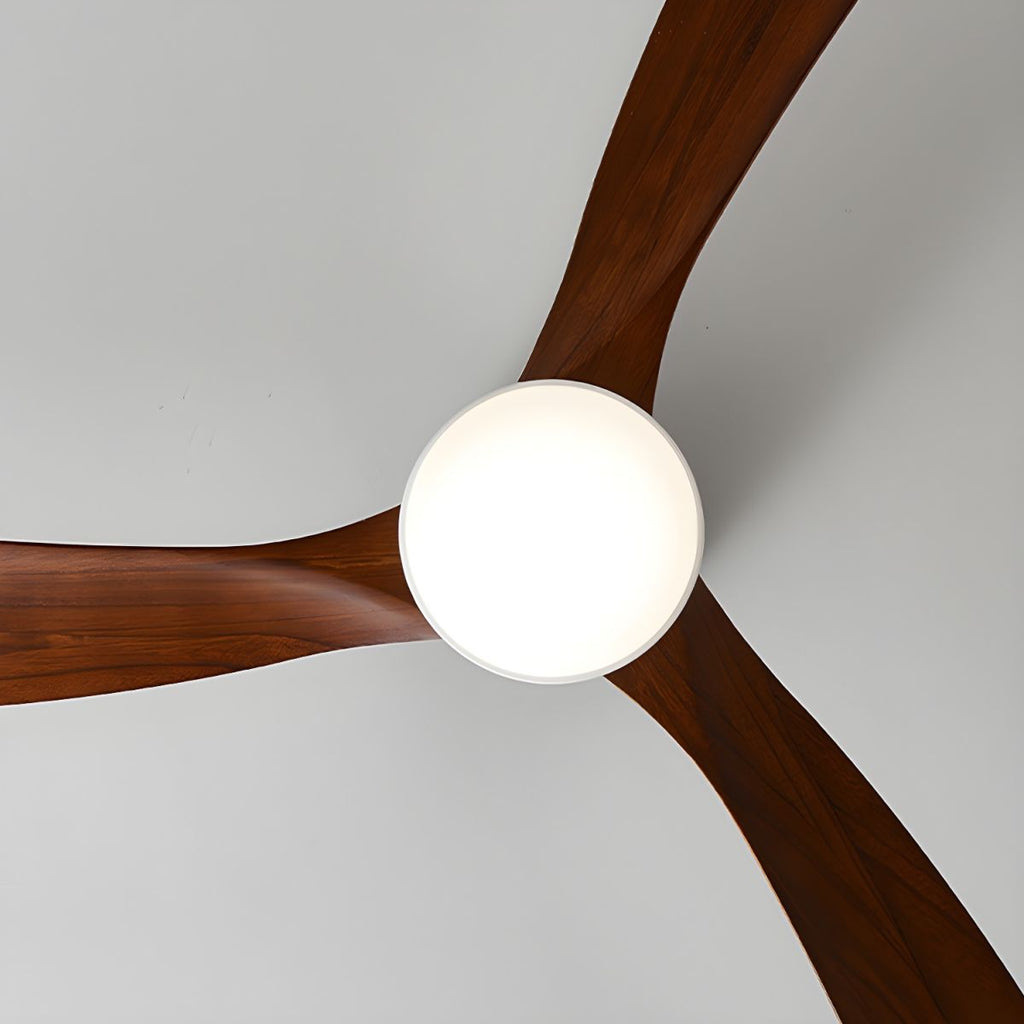 WINTHROP WHIRL CEILING ILLUMINATOR