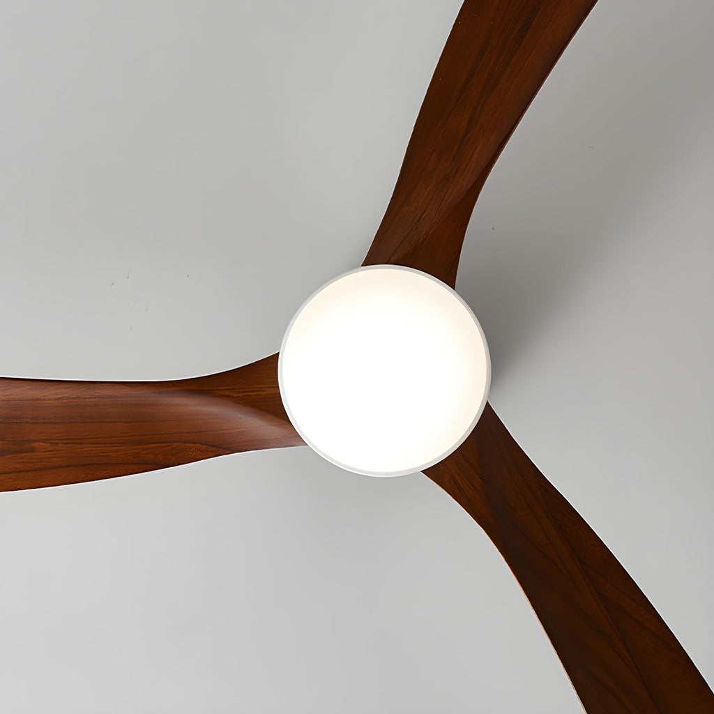 WINTHROP WHIRL CEILING ILLUMINATOR