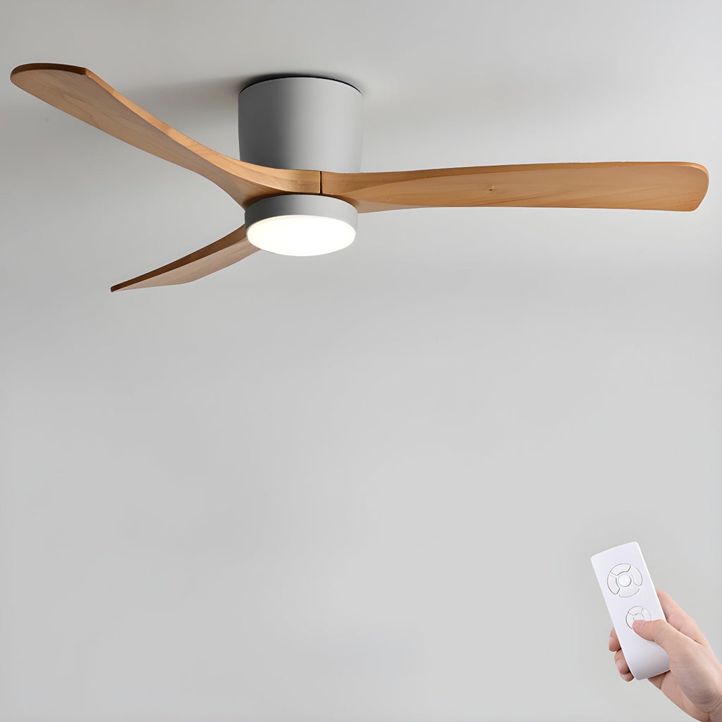 WINTHROP WHIRL CEILING ILLUMINATOR